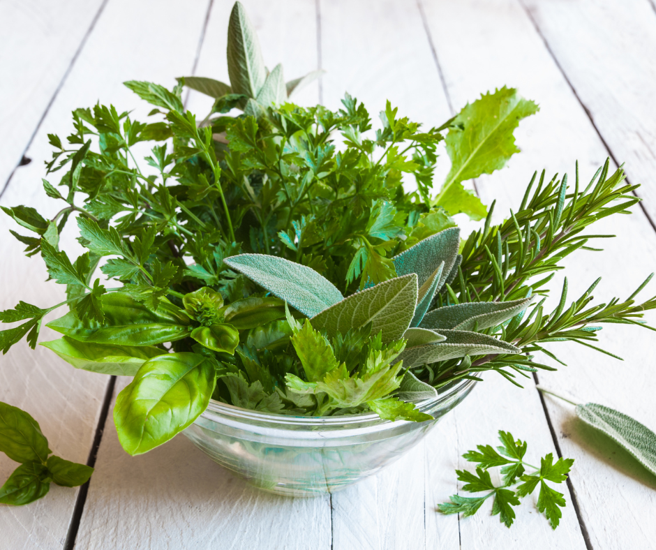 herbs-for-ibs-1.png