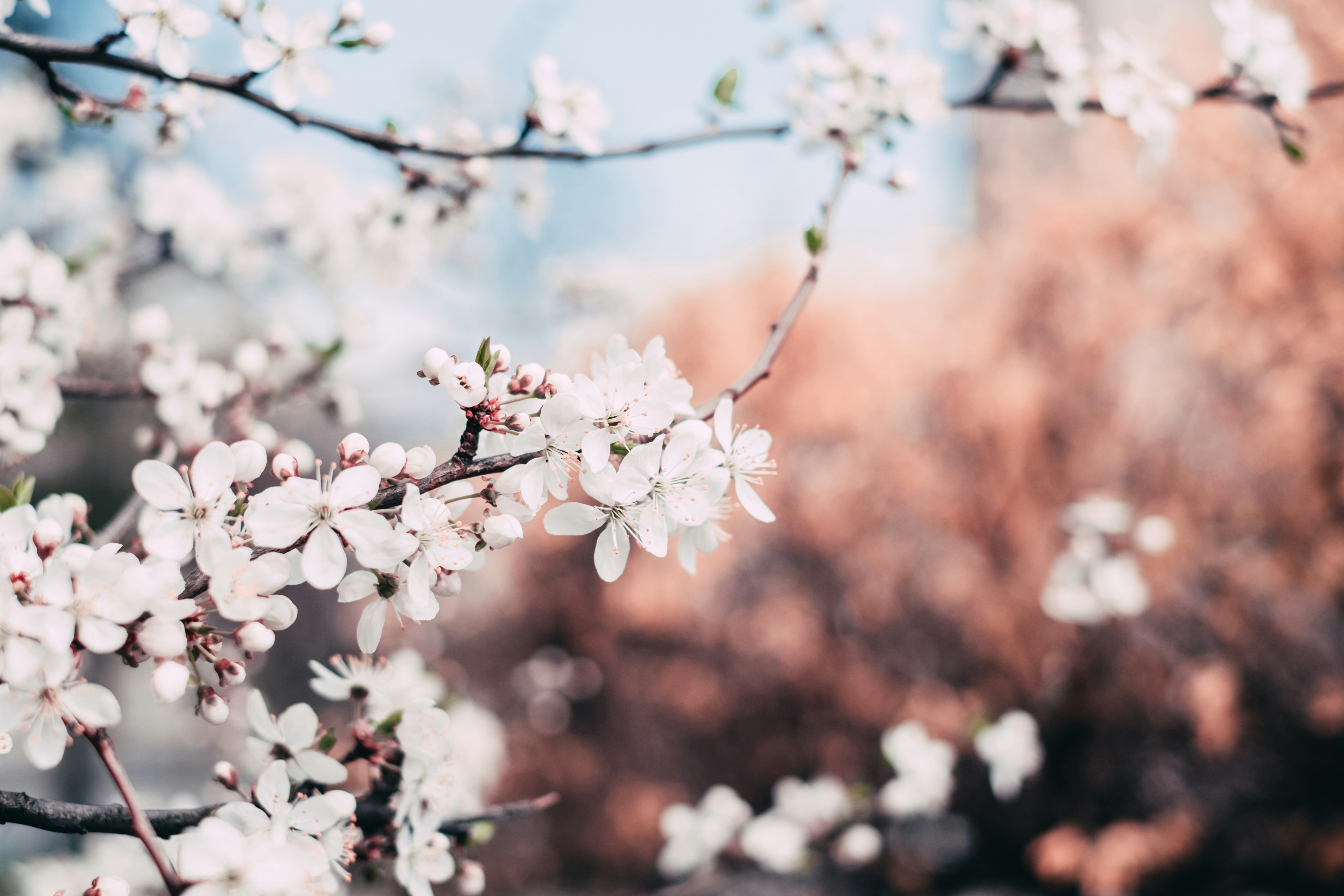 menstrual-cycle-spring.jpg