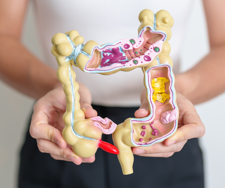 ibs-therapy.png